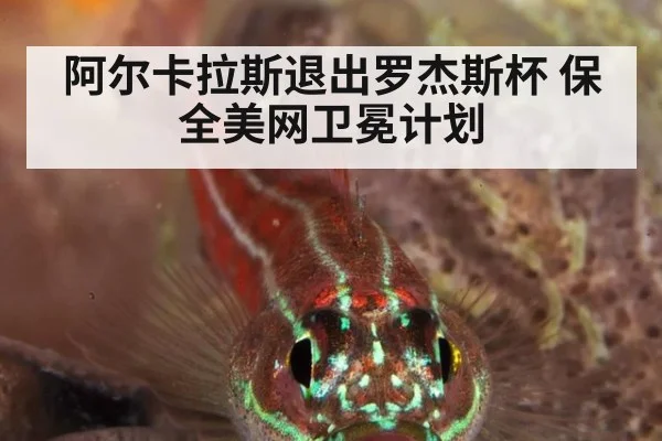 阿尔卡拉斯退出罗杰斯杯 保全美网卫冕计划